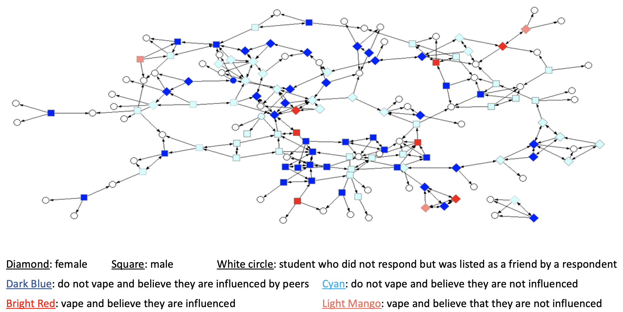 Network Graph With Arrows Between Nodes Representing High School Students and Their Friends Colored in Blue if They Do Not Vape and Red if They Do Vape
